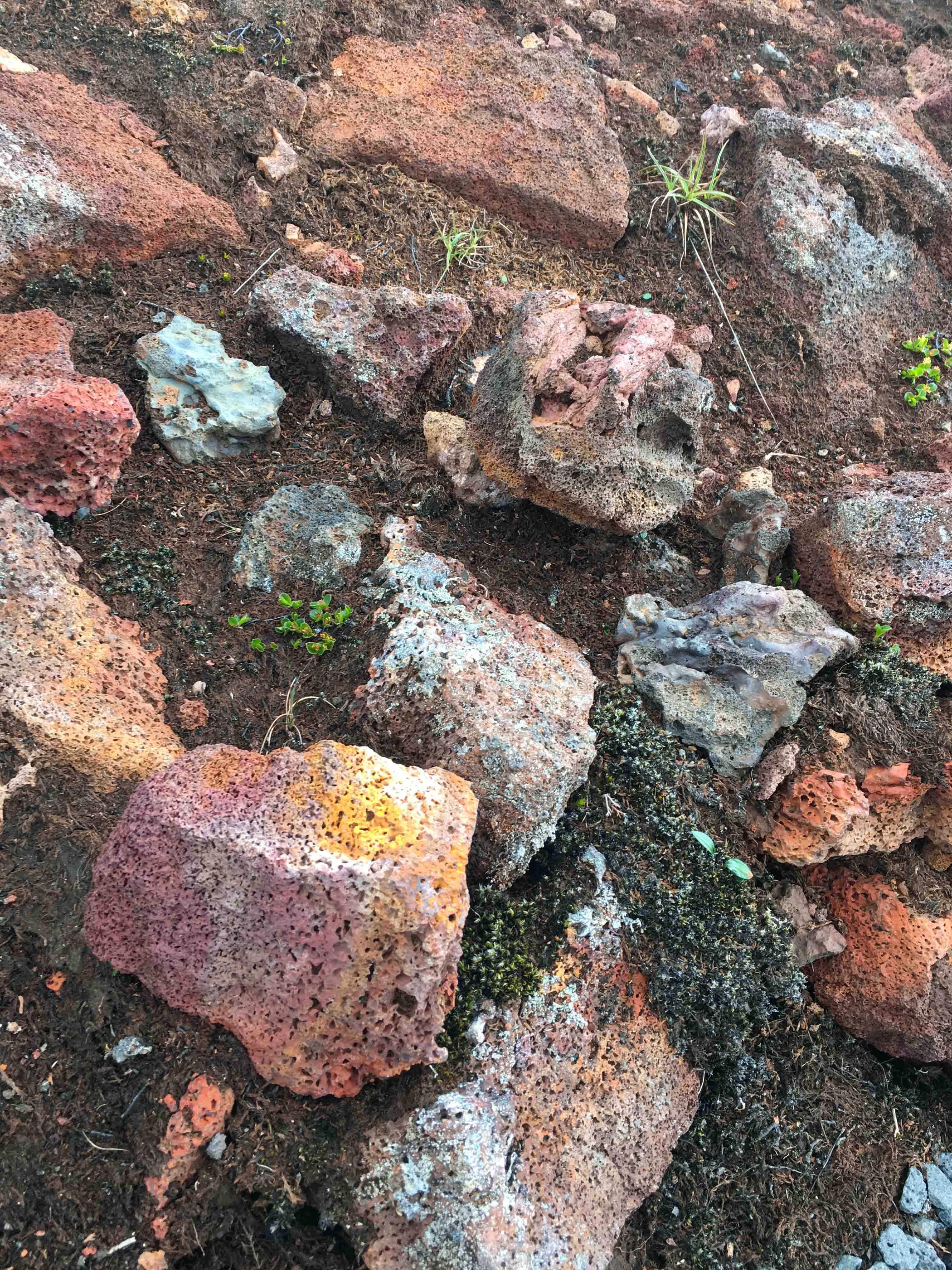 Colourful bubbly volcanic rocks in Iceland
