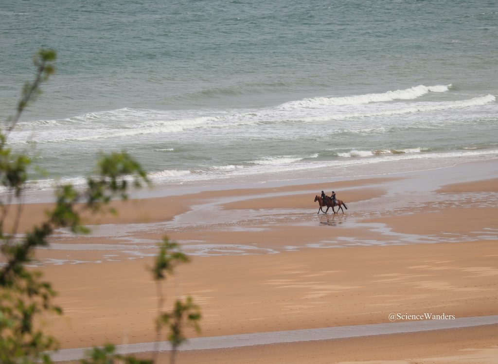 Horses gallop on Omaha Beach