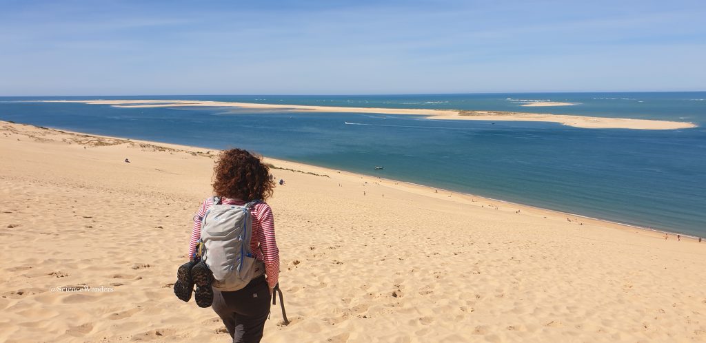 Sink Into Dune Du Pilat Science Wanders