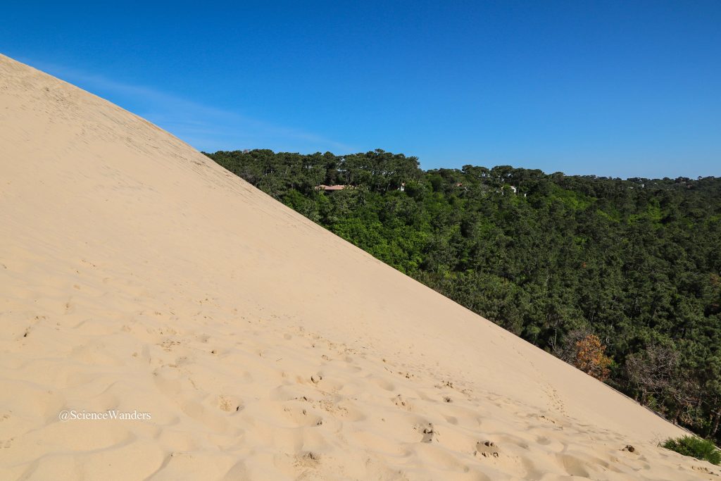 Dune du Pilat slope