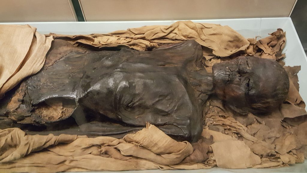 british museum mummy
