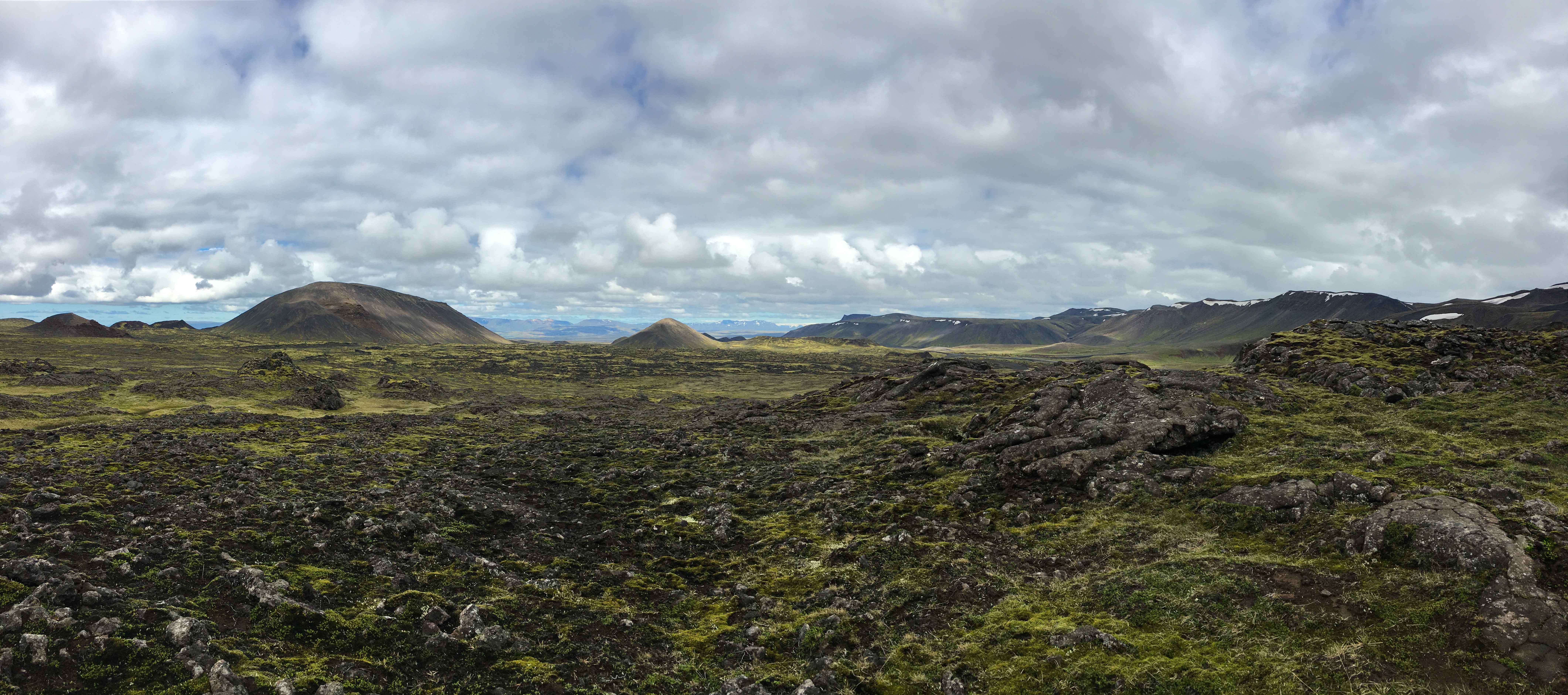 Iceland's vegetation