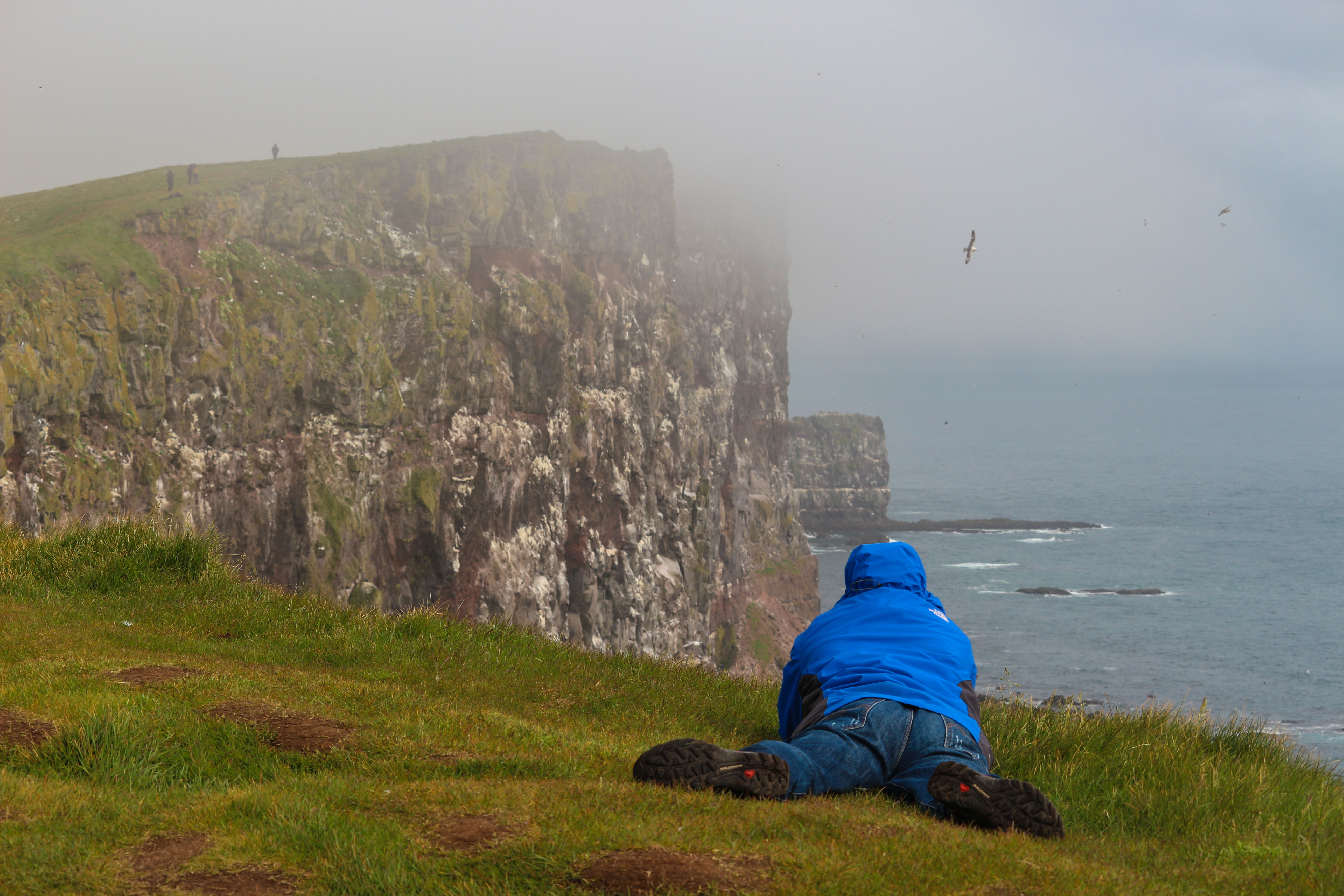 A man watching puffins in Latrabjarg