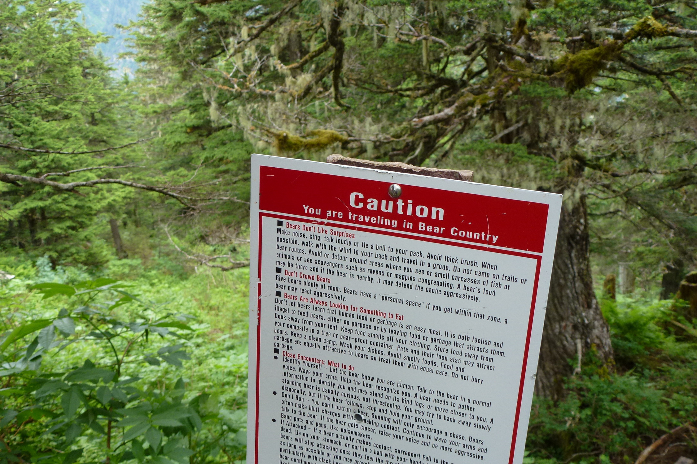 Bear Country Sign in Alaska