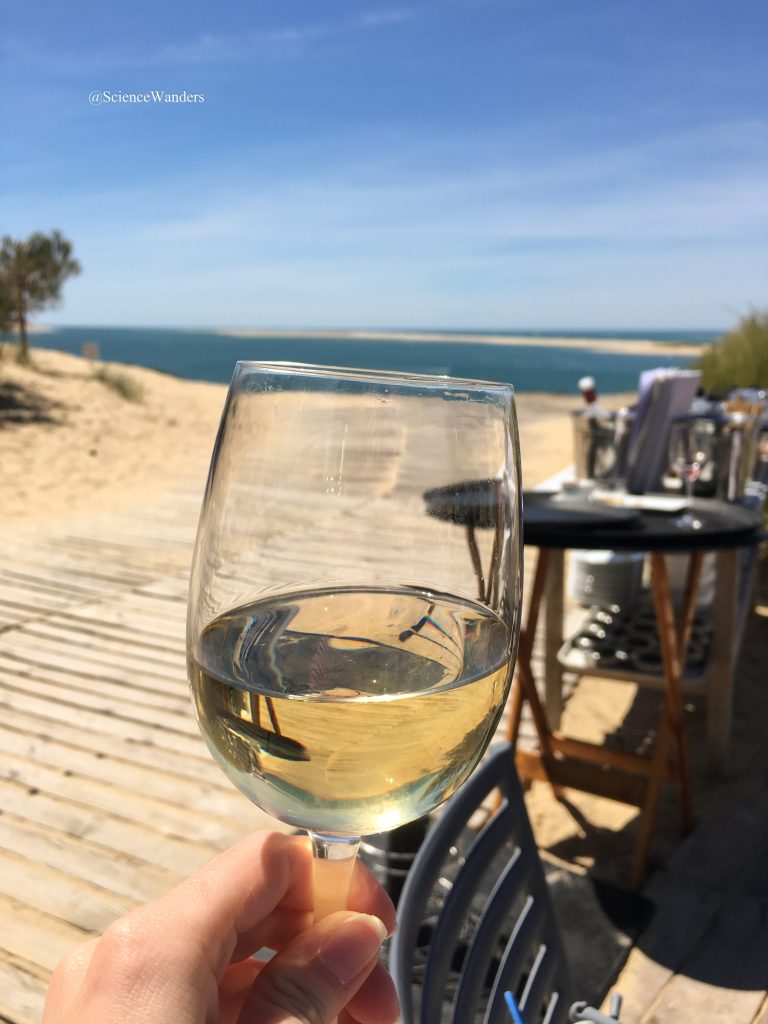 Wine at Dune du Pilat