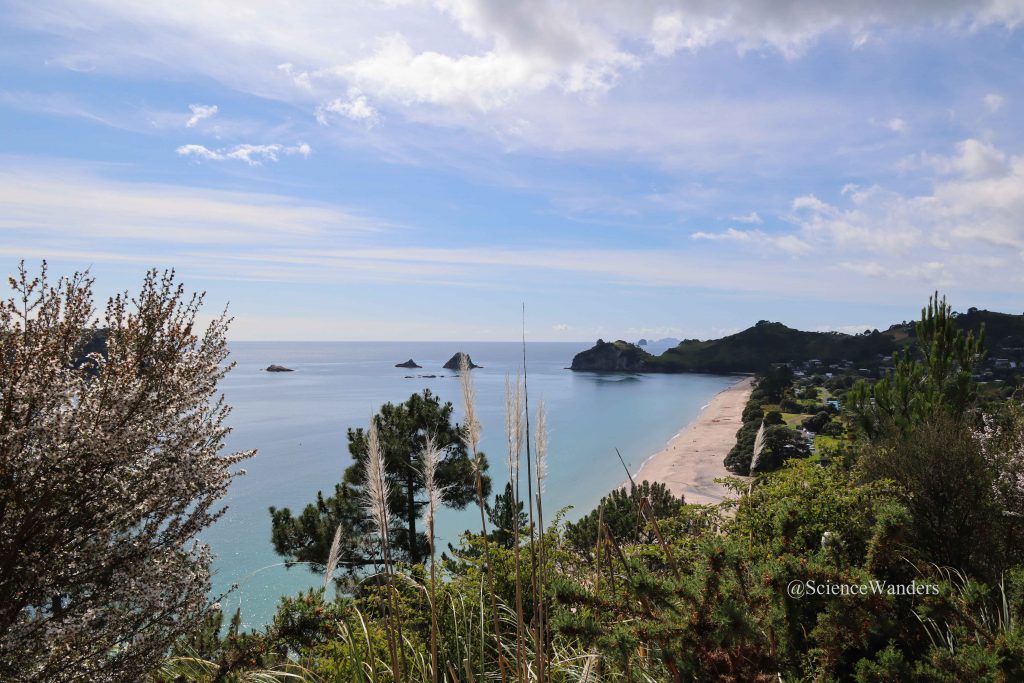 Cathedral Cove track