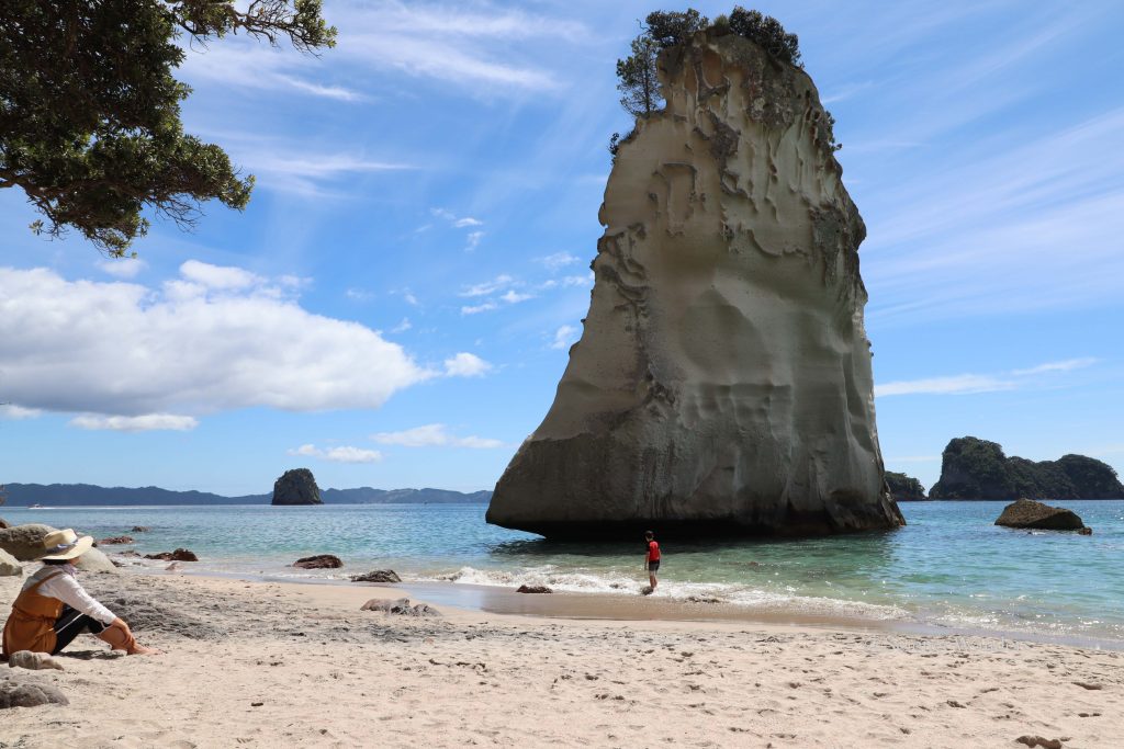 Cathedral cove beach