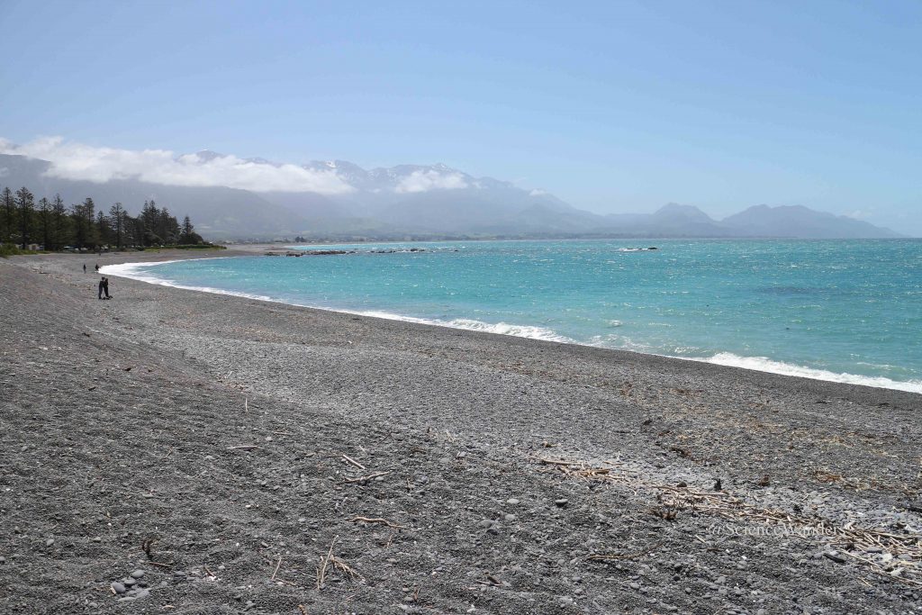 Kaikoura peninsula