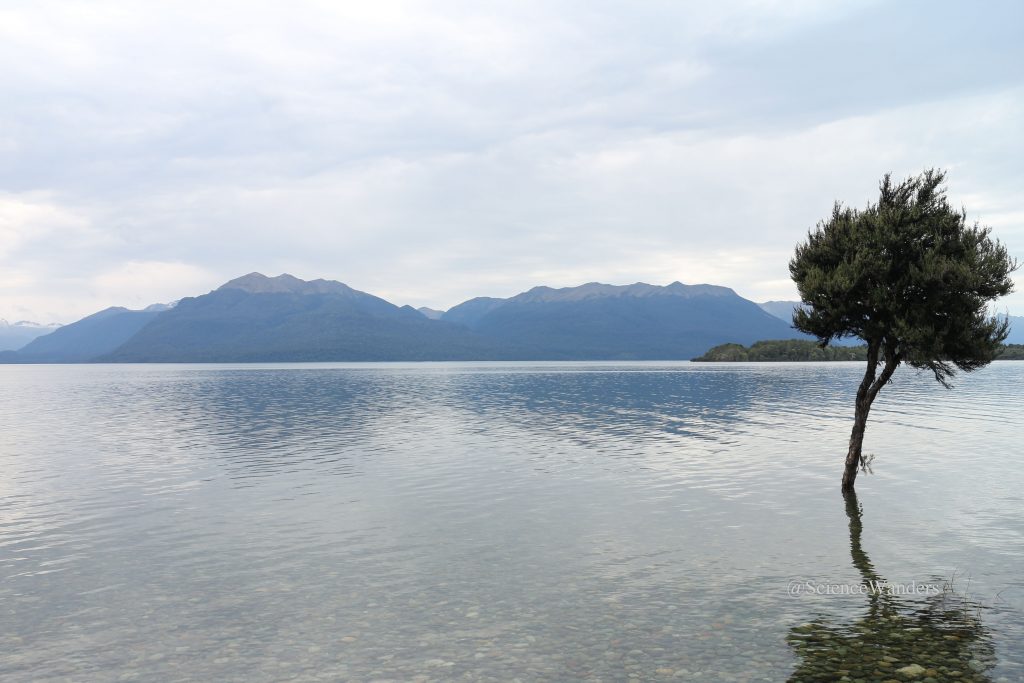 Milford sound route