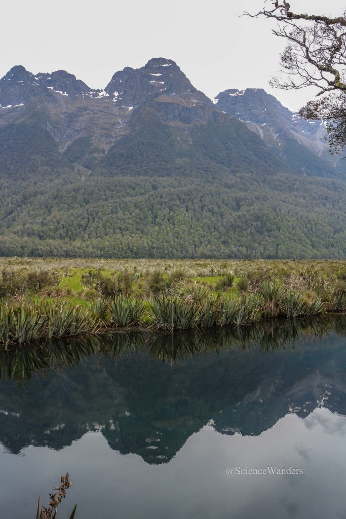 Milford sound route