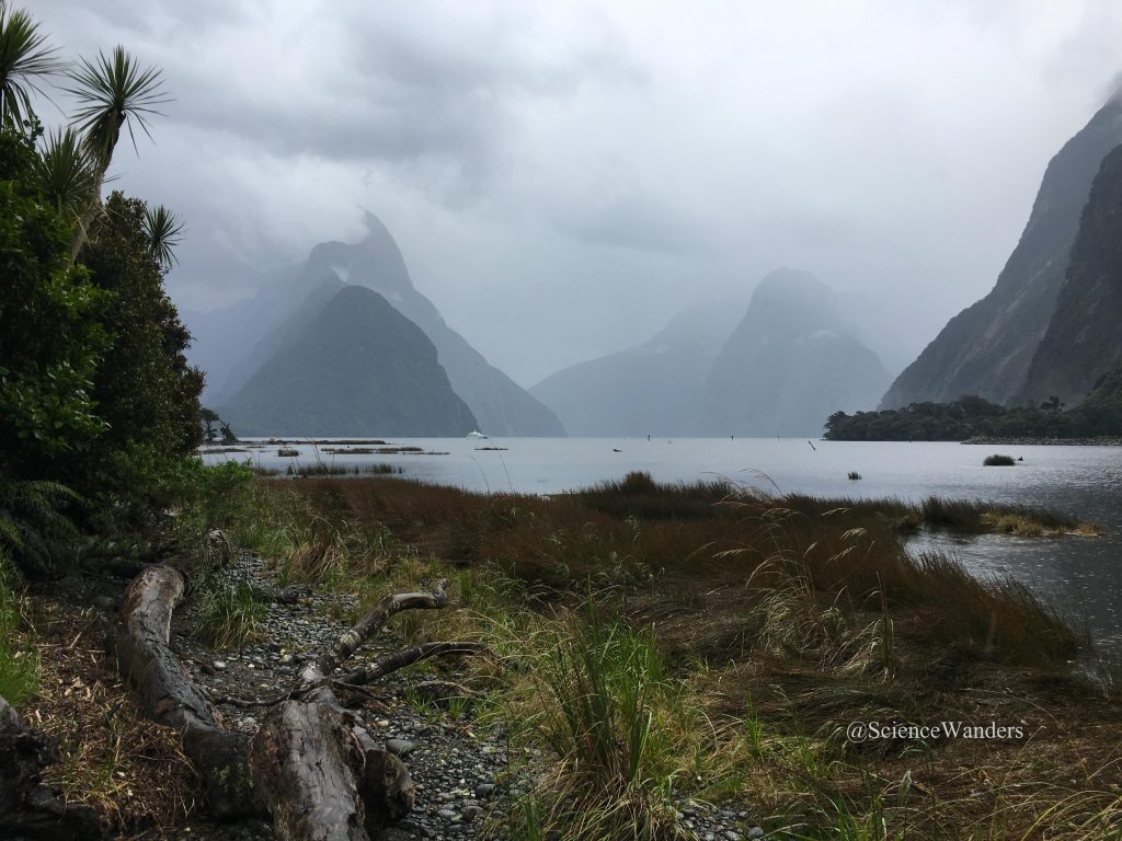 Milford sound 