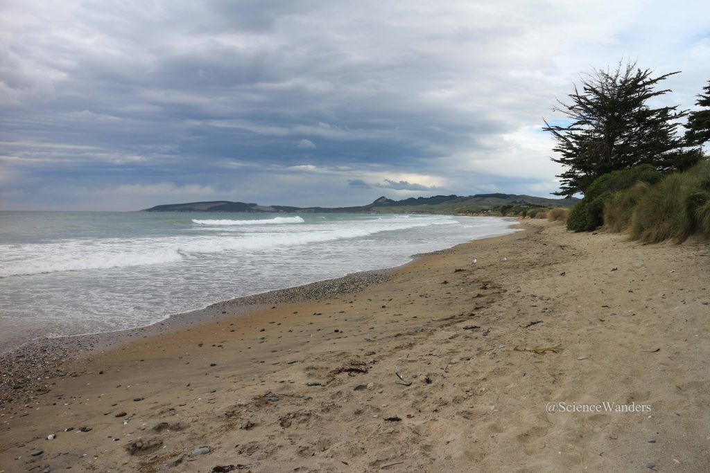 Oamaru beach