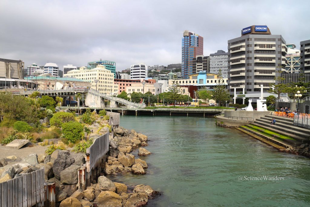 Wellington harbour