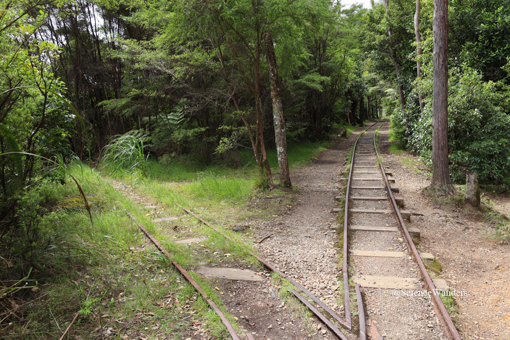 Karangahake mine hiking trail