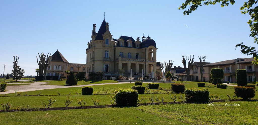 St Emilion vineyard chateau 