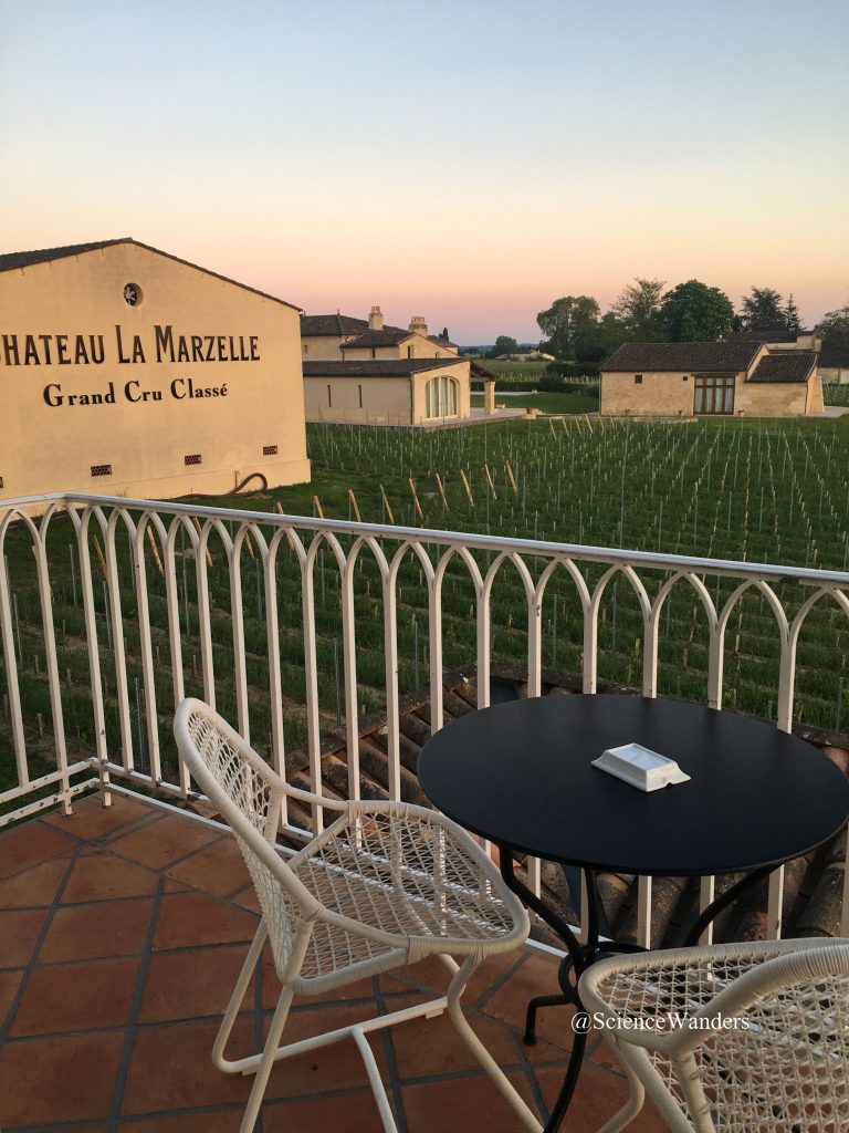 Chateau la Marzelle vineyard hotel