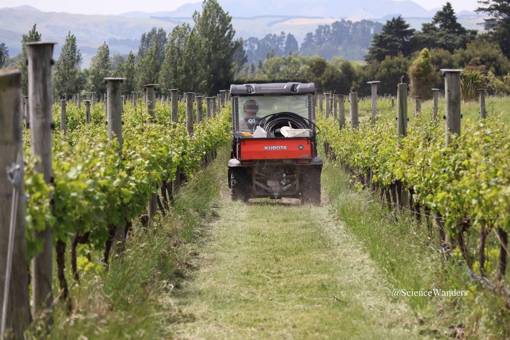 Vineyard irrigator, Waipara